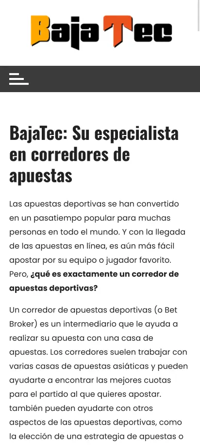 Bajatec Captura de pantalla de la página principal