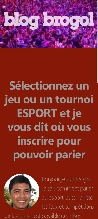 Capture d'écran de la page d'accueil de Blog Brogol